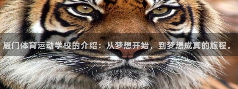厦门体育运动学校的介绍：从梦想开始，到梦想成真的旅程。