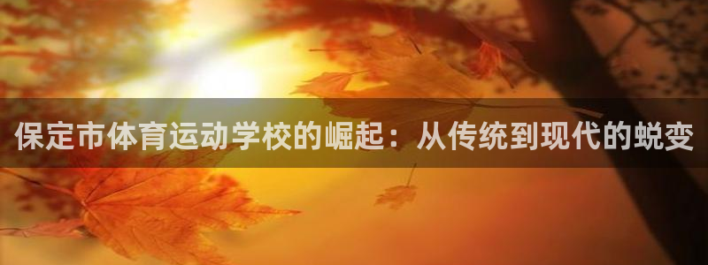 保定市体育运动学校的崛起：从传统到现代的蜕变