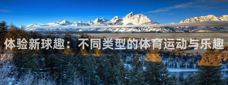 体验新球趣：不同类型的体育运动与乐趣