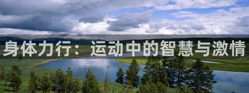身体力行：运动中的智慧与激情