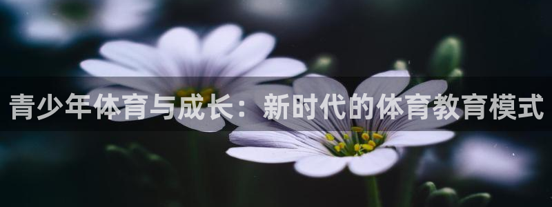 青少年体育与成长：新时代的体育教育模式