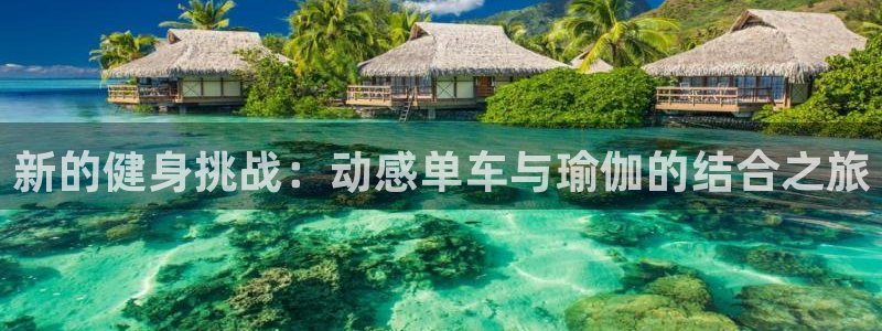 新的健身挑战：动感单车与瑜伽的结合之旅