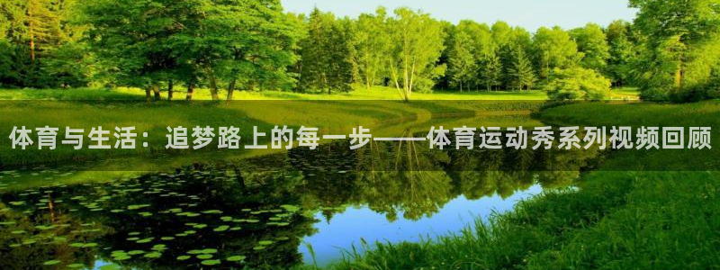 体育与生活：追梦路上的每一步——体育运动秀系列视频回顾
