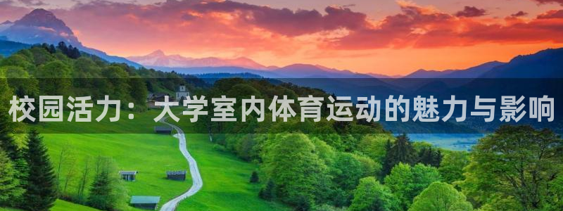 校园活力：大学室内体育运动的魅力与影响