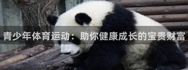 青少年体育运动：助你健康成长的宝贵财富