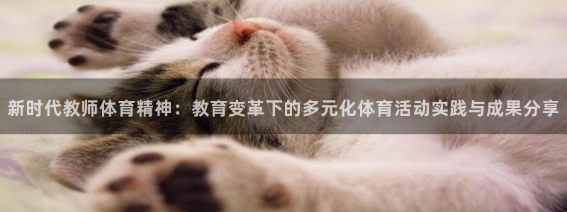新时代教师体育精神：教育变革下的多元化体育活动实践与成果分享