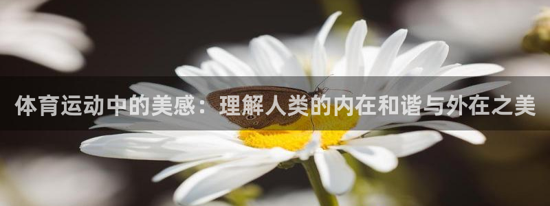 体育运动中的美感：理解人类的内在和谐与外在之美