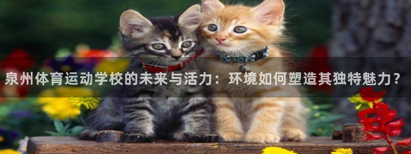 泉州体育运动学校的未来与活力：环境如何塑造其独特魅力？