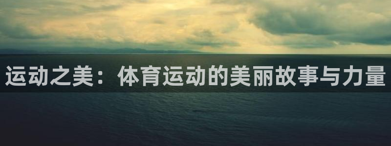 运动之美：体育运动的美丽故事与力量