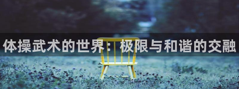 体操武术的世界：极限与和谐的交融