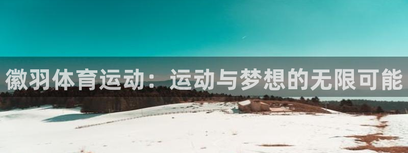 徽羽体育运动：运动与梦想的无限可能