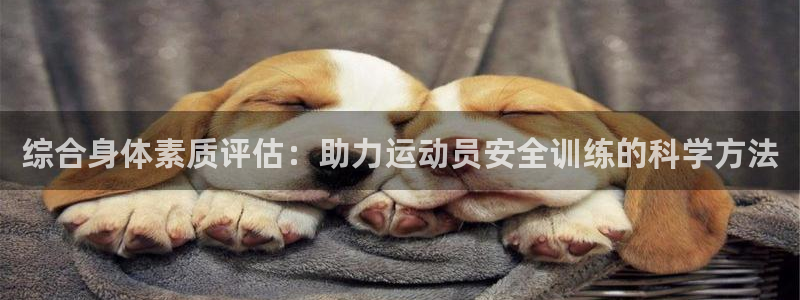 综合身体素质评估：助力运动员安全训练的科学方法