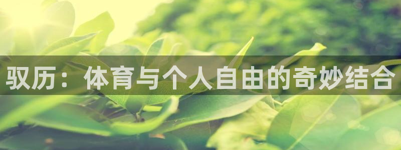 驭历：体育与个人自由的奇妙结合