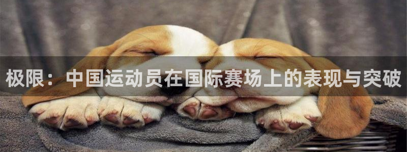 极限：中国运动员在国际赛场上的表现与突破