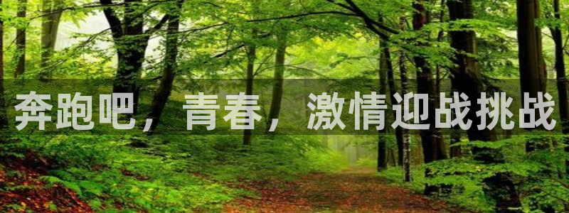 奔跑吧，青春，激情迎战挑战