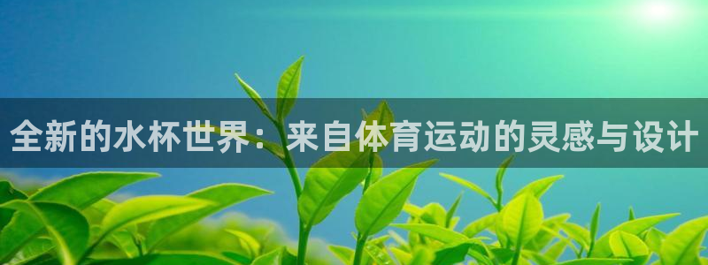 全新的水杯世界：来自体育运动的灵感与设计