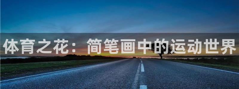 体育之花：简笔画中的运动世界