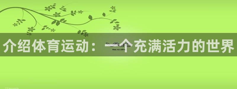 介绍体育运动：一个充满活力的世界