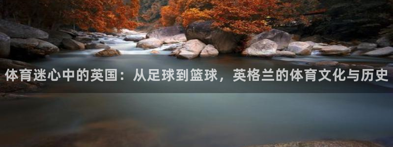 体育迷心中的英国：从足球到篮球，英格兰的体育文化与历史