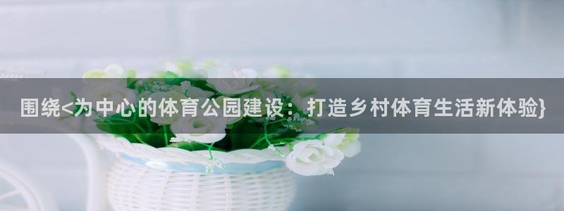 围绕<为中心的体育公园建设：打造乡村体育生活新体验}