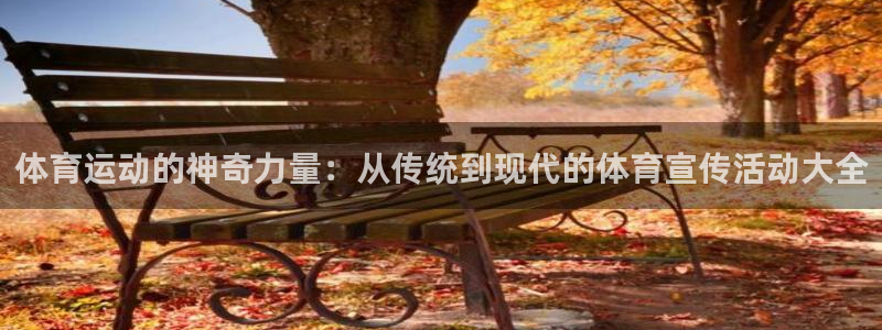 体育运动的神奇力量：从传统到现代的体育宣传活动大全