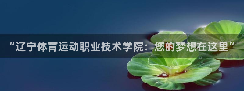 “辽宁体育运动职业技术学院：您的梦想在这里”